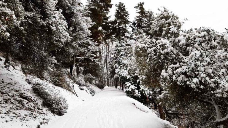 METEO MILANO – Le vacanze di NATALE termineranno con clima invernale, tutte le previsioni METEO MILANO – Le vacanze di NATALE termineranno con clima invernale, tutte le previsioni