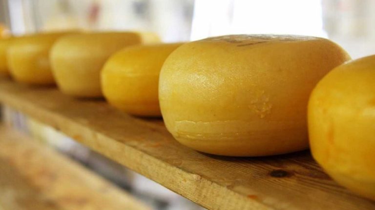 Allerta alimentare, ritirati alcuni lotti di un noto formaggio per rischio batteriologico Allerta alimentare, ritirati alcuni lotti di un noto formaggio per rischio batteriologico