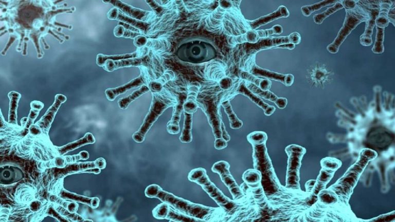 Coronavirus, ecco la nuova scoperta che chiarisce quanto dura l’immunità negli infetti