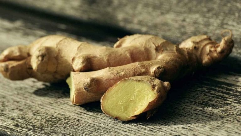 Olio essenziale di zenzero, tutti i benefici di questo concentrato Olio essenziale di zenzero, tutti i benefici di questo concentrato
