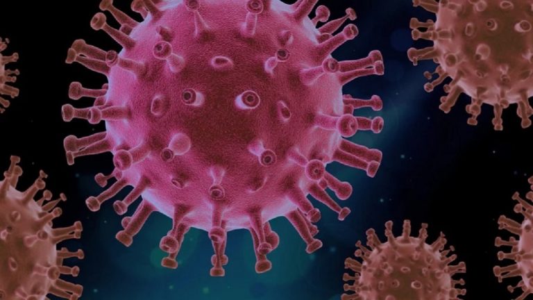 Secondo uno studio giapponese il Covid sarebbe meno letale dell’influenza: ecco perchè Secondo uno studio giapponese il Covid sarebbe meno letale dell’influenza: ecco perchè