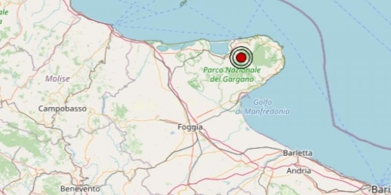 Terremoto in Puglia oggi, venerdì 29 gennaio 2021: scossa M 2.4 provincia di Foggia – Dati Ingv
