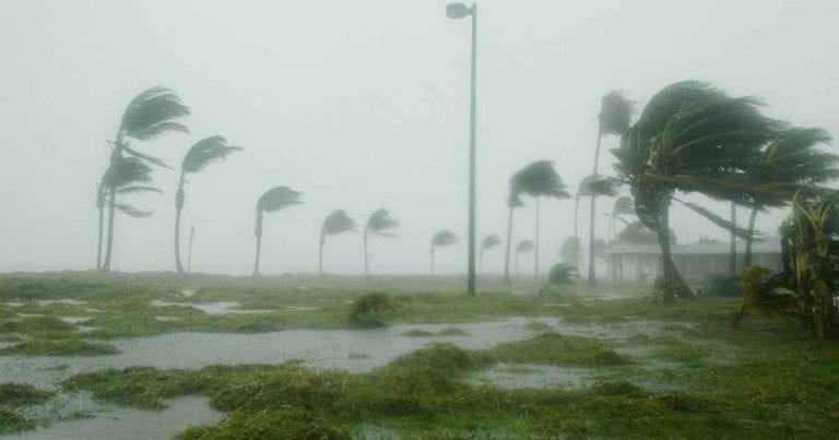 METEO – Venti di TEMPESTA sferzeranno l’ITALIA A BREVE, con raffiche fino a 100km/h, ecco dove METEO – Venti di TEMPESTA sferzeranno l’ITALIA A BREVE, con raffiche fino a 100km/h, ecco dove