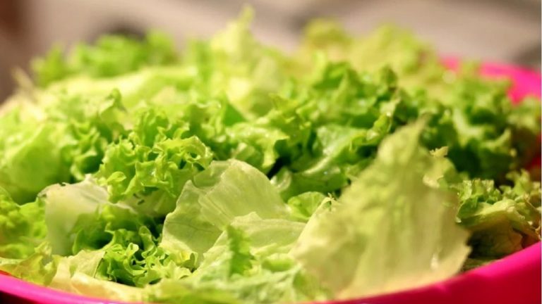 Allerta alimentare, nota insalata italiana e pasta all’uovo mettono a rischio la salute: ritirate dal mercato europeo