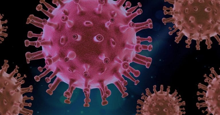 Coronavirus, scoperto un nuovo virus simile al SARS-Cov-2: potrebbe infettare l’essere umano