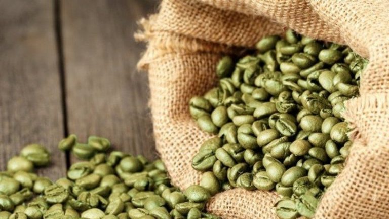 Caffè verde, previene e rallenta il morbo di Alzheimer e contrasta l’obesità: ecco di cosa si tratta