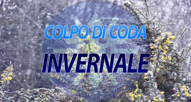 Meteo - Colpo di coda dell'Inverno per la Festa della Donna con crollo termico e neve a bassa quota? La tendenza