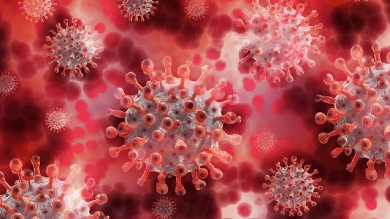 Coronavirus, nel 2019 alcuni dipendenti del laboratorio di Wuhan si ammalarono: la svolta nelle indagini sulle origini Coronavirus, nel 2019 alcuni dipendenti del laboratorio di Wuhan si ammalarono: la svolta nelle indagini sulle origini