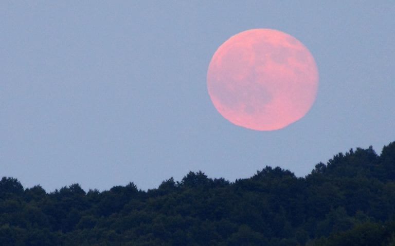 Superluna rosa ad aprile: ecco quando sarà visibile e come