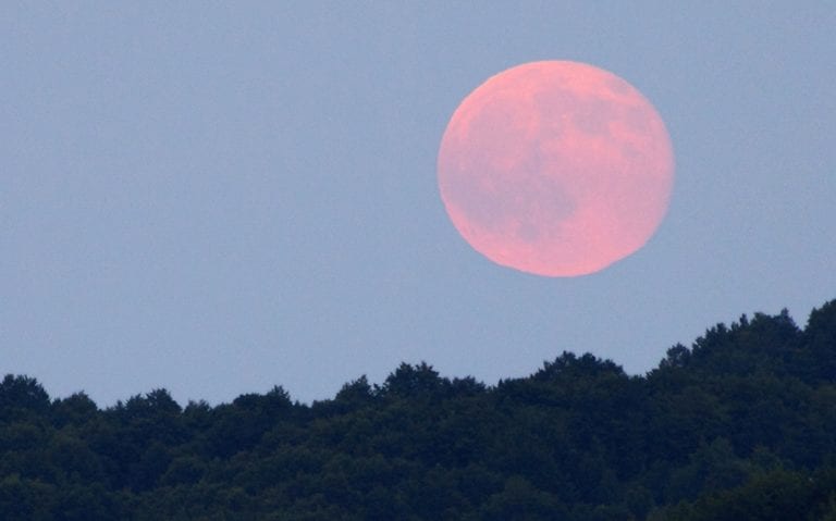 Superluna rosa ad aprile: ecco quando sarà visibile e come Superluna rosa ad aprile: ecco quando sarà visibile e come