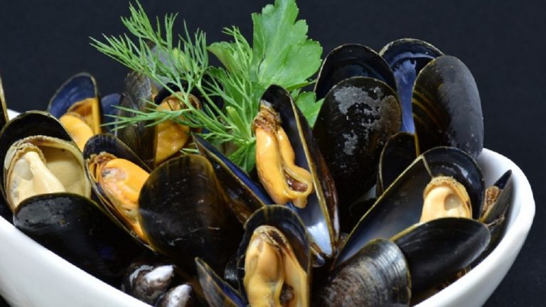 Allerta alimentare, il Rasff lancia l’allarme per cozze italiane contaminate da un pericoloso batterio