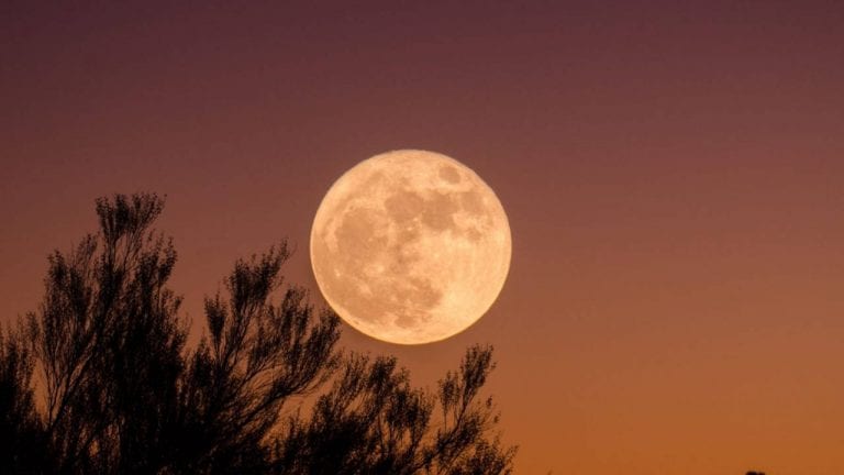 Superluna dei fiori, ecco quando ammirare la Luna più grande in assoluto