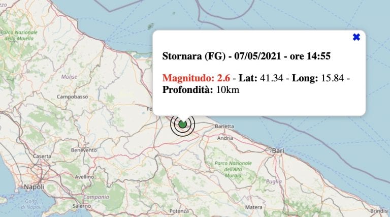 Terremoto in Puglia oggi, venerdì 7 maggio 2021: scossa M 2.6 in provincia di Foggia | Dati INGV Terremoto in Puglia oggi, venerdì 7 maggio 2021: scossa M 2.6 in provincia di Foggia | Dati INGV