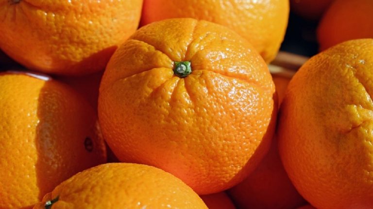 Allerta Alimentare, arance contaminate provenienti dalla Spagna bloccate dal Ministero della Salute Allerta Alimentare, arance contaminate provenienti dalla Spagna bloccate dal Ministero della Salute
