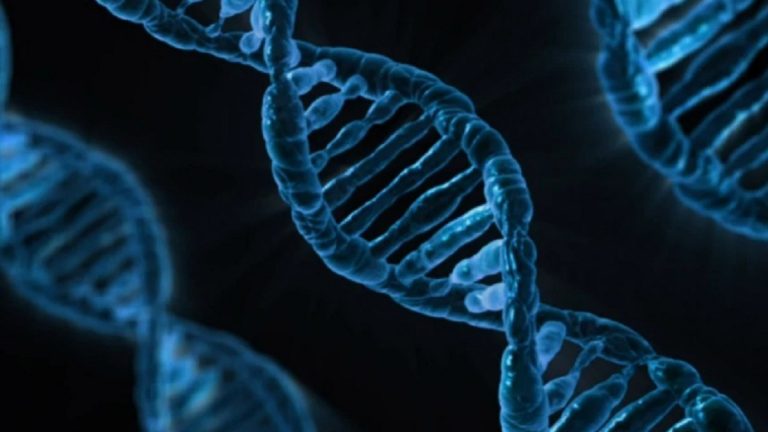 Individuata nuova mutazione della variante Delta più resistente a vaccini e anticorpi Individuata nuova mutazione della variante Delta più resistente a vaccini e anticorpi