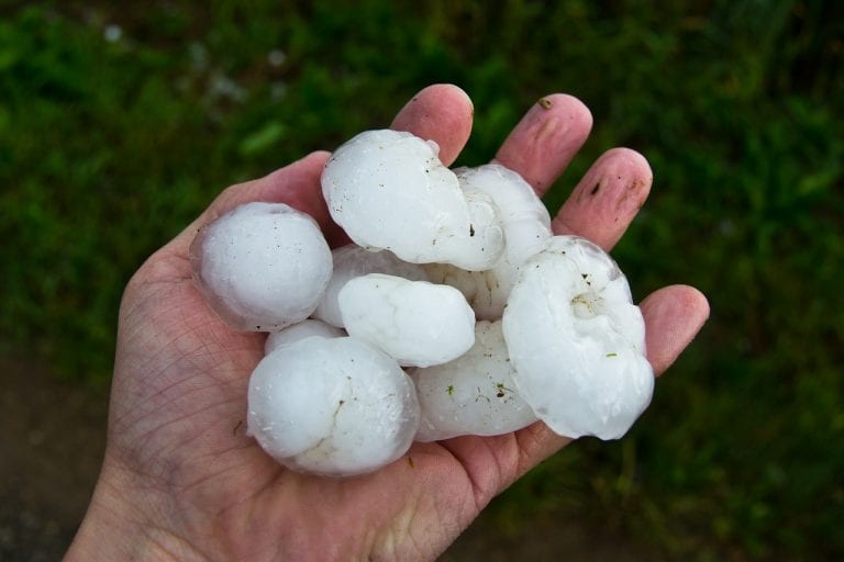 METEO – Una violenta GRANDINATA ha colpito la città di Milano, diversi scantinati ALLAGATI e DISAGI, i dettagli METEO – Una violenta GRANDINATA ha colpito la città di Milano, diversi scantinati ALLAGATI e DISAGI, i dettagli
