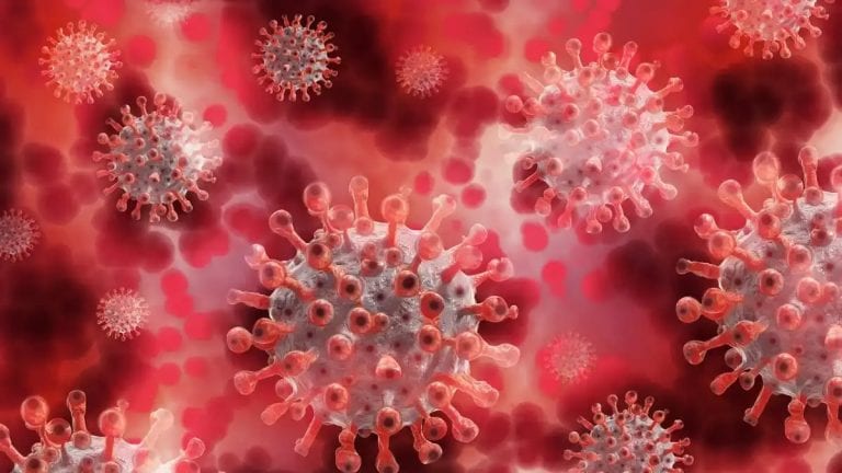 Coronavirus, la variante Delta si sta estinguendo: ecco lo studio giapponese che lo dimostra