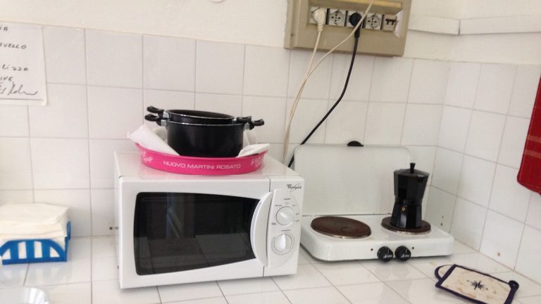 Forno al microonde, salute a rischio se lo utilizzi? Verità o falso mito? Ecco cosa dice la scienza