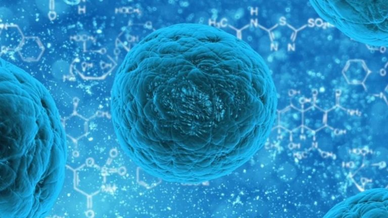 Le molecole prodotte dai batteri intestinali potrebbero aiutare il corpo umano a combattere il cancro