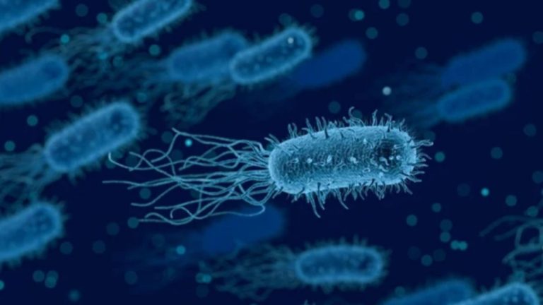 Una sorprendente strategia di difesa cellulare potrebbe ispirare nuovi antibiotici, ecco come