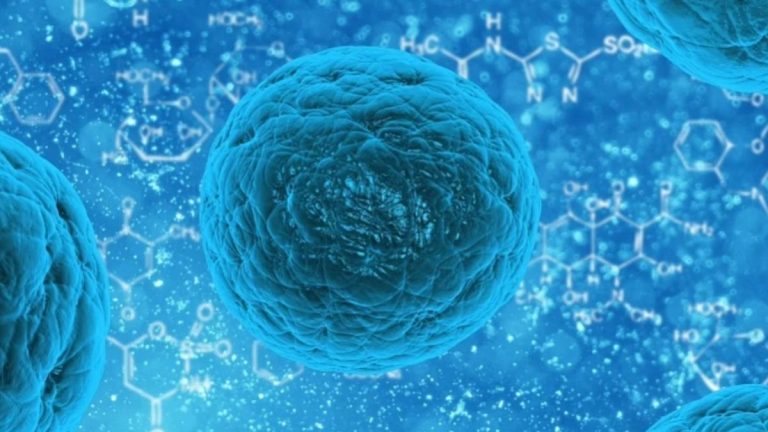 Raro caso di vaiolo delle scimmie segnalato in Texas, ecco cosa è successo