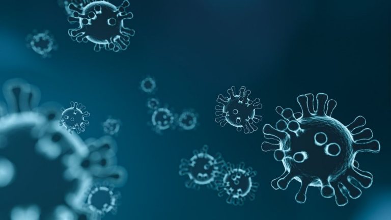 Il virus del raffreddore comune esisteva molto prima degli esseri umani moderni secondo una nuova ricerca scientifica Il virus del raffreddore comune esisteva molto prima degli esseri umani moderni secondo una nuova ricerca scientifica