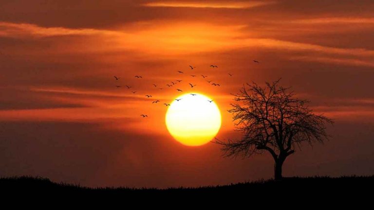 METEO – Dopo il MALTEMPO con TEMPORALI atteso miglioramento nelle PROSSIME ORE, i dettagli METEO – Dopo il MALTEMPO con TEMPORALI atteso miglioramento nelle PROSSIME ORE, i dettagli