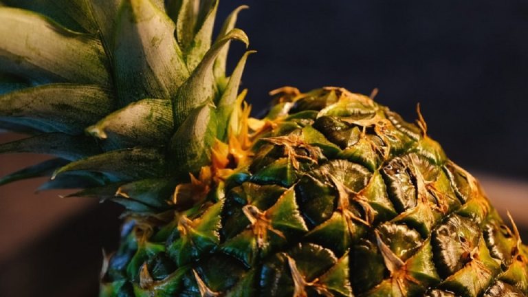 Dieta rapida, ecco come perdere i chili in eccesso in tre giorni: come funziona Dieta rapida, ecco come perdere i chili in eccesso in tre giorni: come funziona