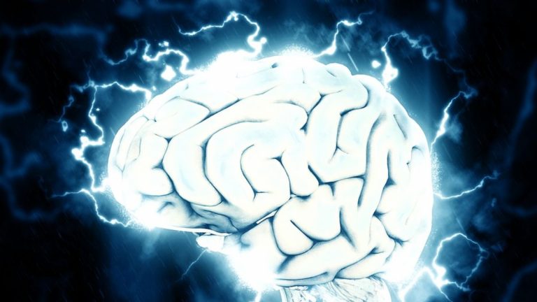 Scoperta la connessione tra il sistema oppioide del cervello e il comportamento alimentare Scoperta la connessione tra il sistema oppioide del cervello e il comportamento alimentare