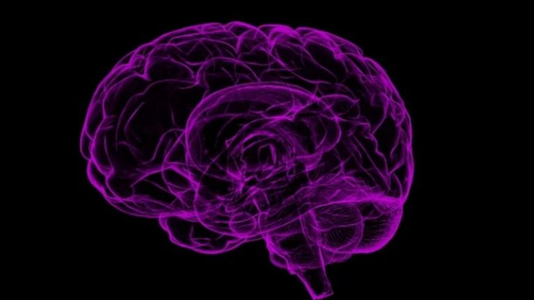 Alzheimer, ecco qual è il miglior frutto da mangiare ogni giorno per prevenire la malattia Alzheimer, ecco qual è il miglior frutto da mangiare ogni giorno per prevenire la malattia