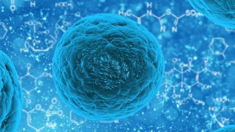 Scoperto il legame tra infiammazione e lo sviluppo del cancro al pancreas Scoperto il legame tra infiammazione e lo sviluppo del cancro al pancreas