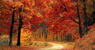 Equinozio d'Autunno