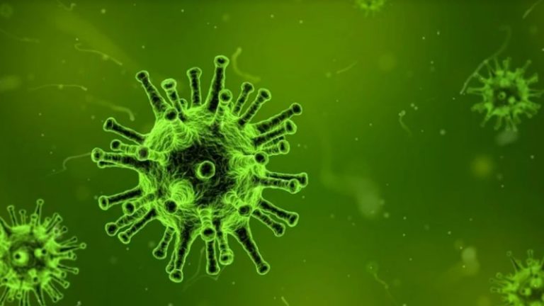 Un nuovo virus è stato scoperto, ecco cosa sta succedendo in Giappone e quali sono i sintomi Un nuovo virus è stato scoperto, ecco cosa sta succedendo in Giappone e quali sono i sintomi