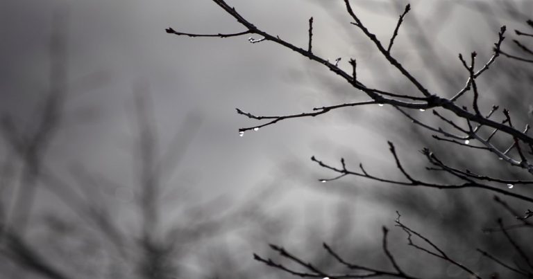 Meteo Autunno – Stagione più calda e piovosa tra Ottobre e Novembre, ecco la tendenza