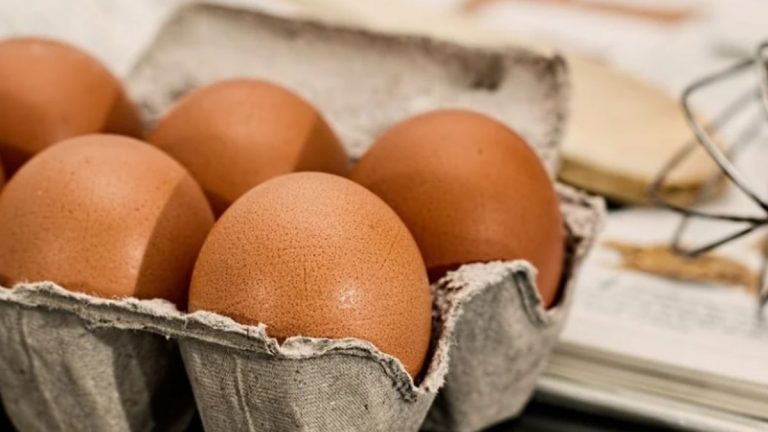 Allerta alimentare, richiamo del Ministero della Salute per uova contaminate per rischio salmonella