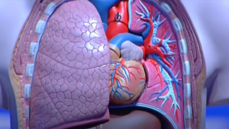 E’ allarme bronchiolite nel salernitano: ricoveri in aumento tra i bambini E’ allarme bronchiolite nel salernitano: ricoveri in aumento tra i bambini