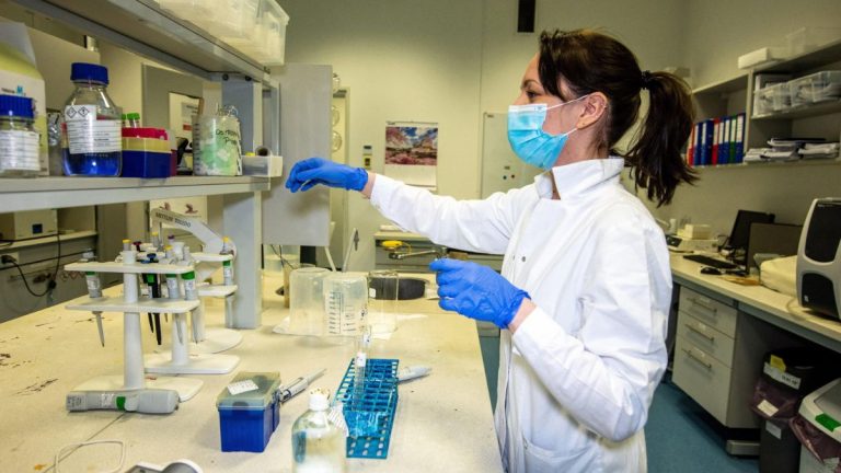 Coronavirus, il vaccino Nuvaxovid autorizzato dall’UE in Europa: i dettagli sul nuovo siero anti Covid