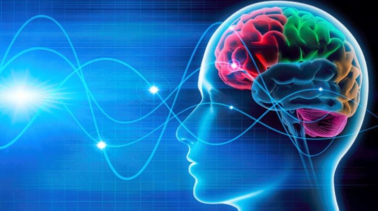 Anestesia, uno studio scopre che una piccola parte del cervello rimane attiva