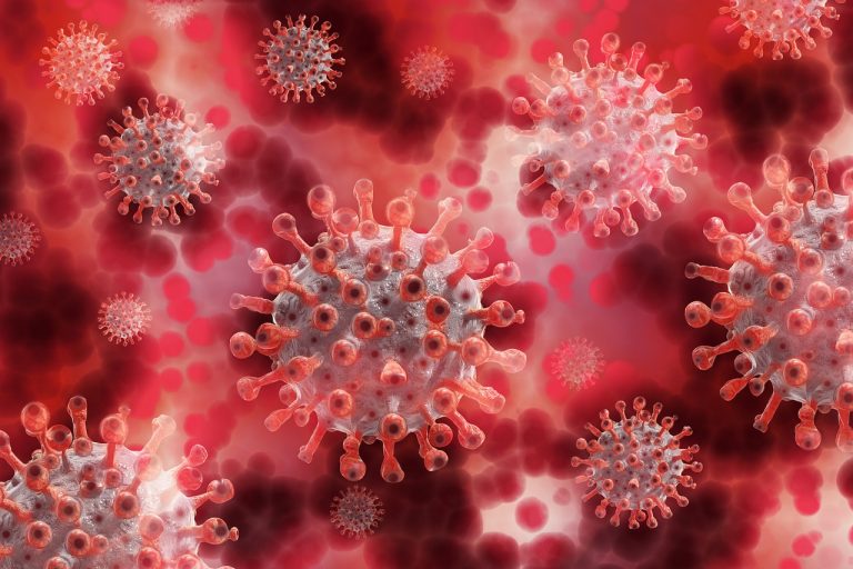 Coronavirus e Omicron, il nuovo studio lo conferma: con la nuova variante rischio ricovero dimezzato