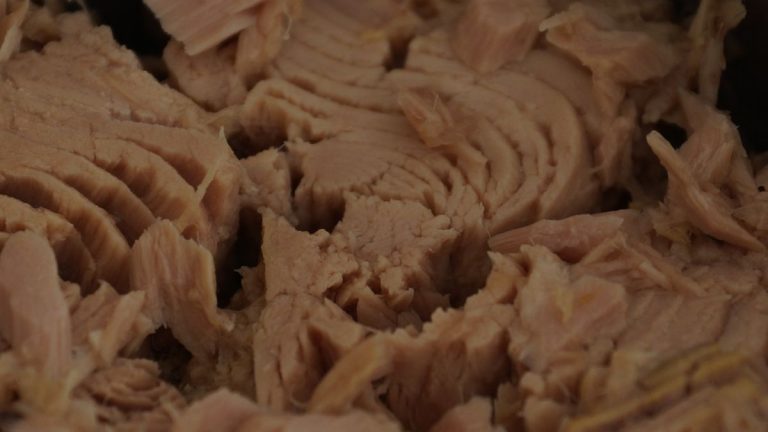 Mangiare troppo tonno in scatola può essere pericoloso? Lo studio scientifico Mangiare troppo tonno in scatola può essere pericoloso? Lo studio scientifico