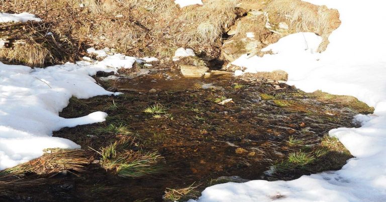 METEO – Inizia FEBBRAIO ma le prospettive per l’INVERNO non sono positive. La PROIEZIONE per l’ITALIA