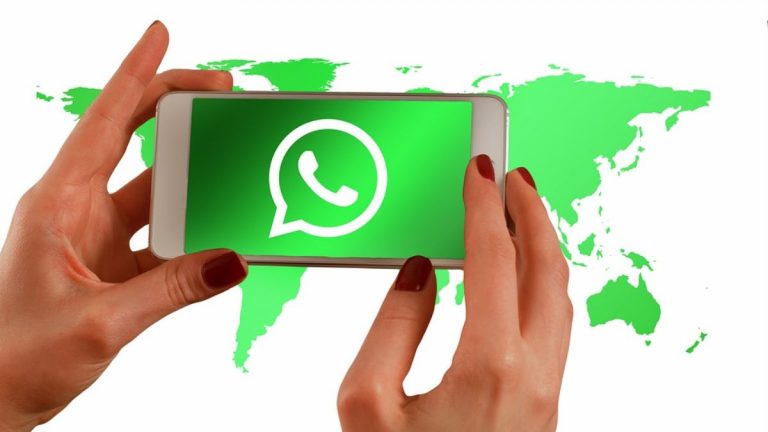 WhatsApp, ecco come personalizzare le notifiche dei messaggi importanti