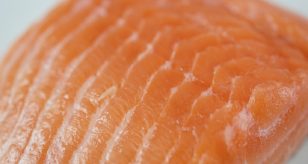 Salmone