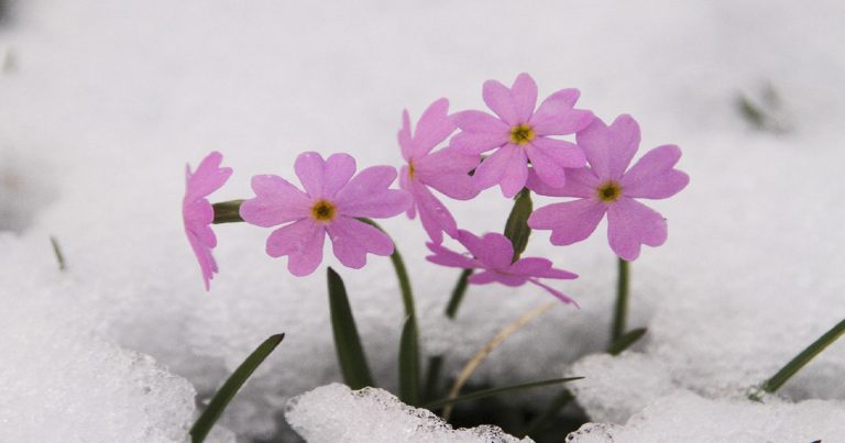 Meteo Primavera – Esordio di stagione con maltempo e neve. Ma come si evolverà?