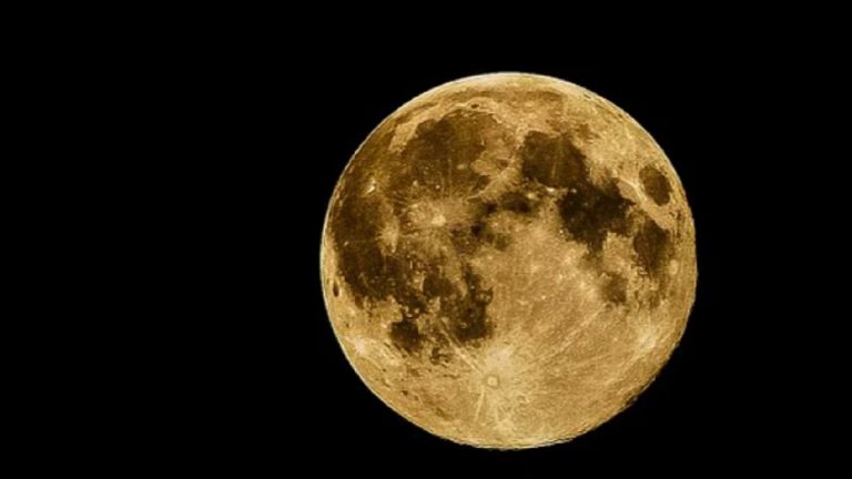 Sono germogliate le prime piantine piantate sul suolo lunare