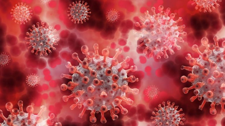 Arriva la bella notizia che aspettavamo da anni, annuncio dell’OMS: “Il mondo mai così vicino alla fine della pandemia” Arriva la bella notizia che aspettavamo da anni, annuncio dell’OMS: “Il mondo mai così vicino alla fine della pandemia”