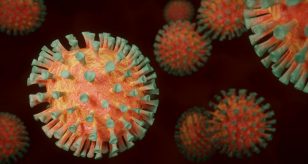 coronavirus omicron xj