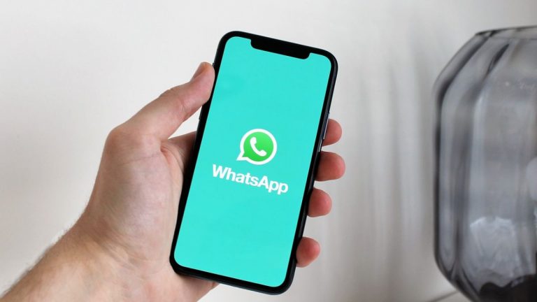 WhatsApp, grandi novità sul download dei file: ecco cosa sta per succedere