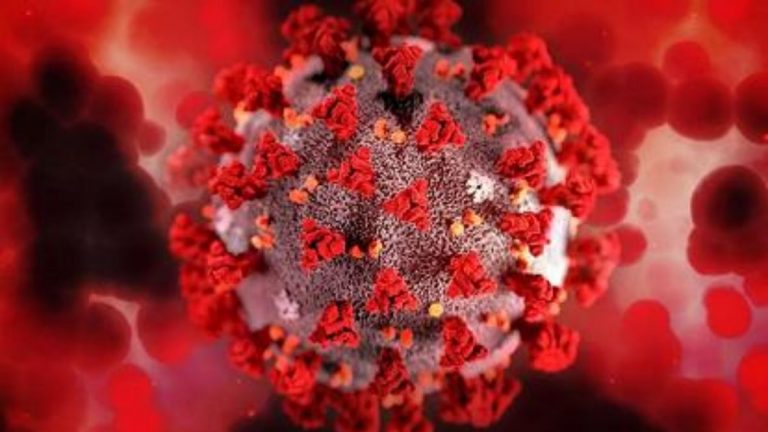 Coronavirus, ecco chi rischia di reinfettarsi di più e quali vaccini sono più “bucabili”
