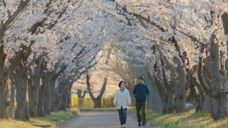 Camminare almeno dieci minuti al giorno allunga la vita, ecco per quale motivo secondo uno studio